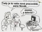 Zamestnanie a práca
