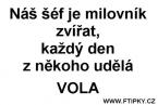 Zamestnanie a práca