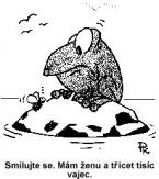 Zvieratá