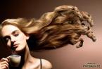 Absurdity