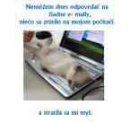Zvieratá