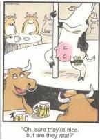 Absurdity